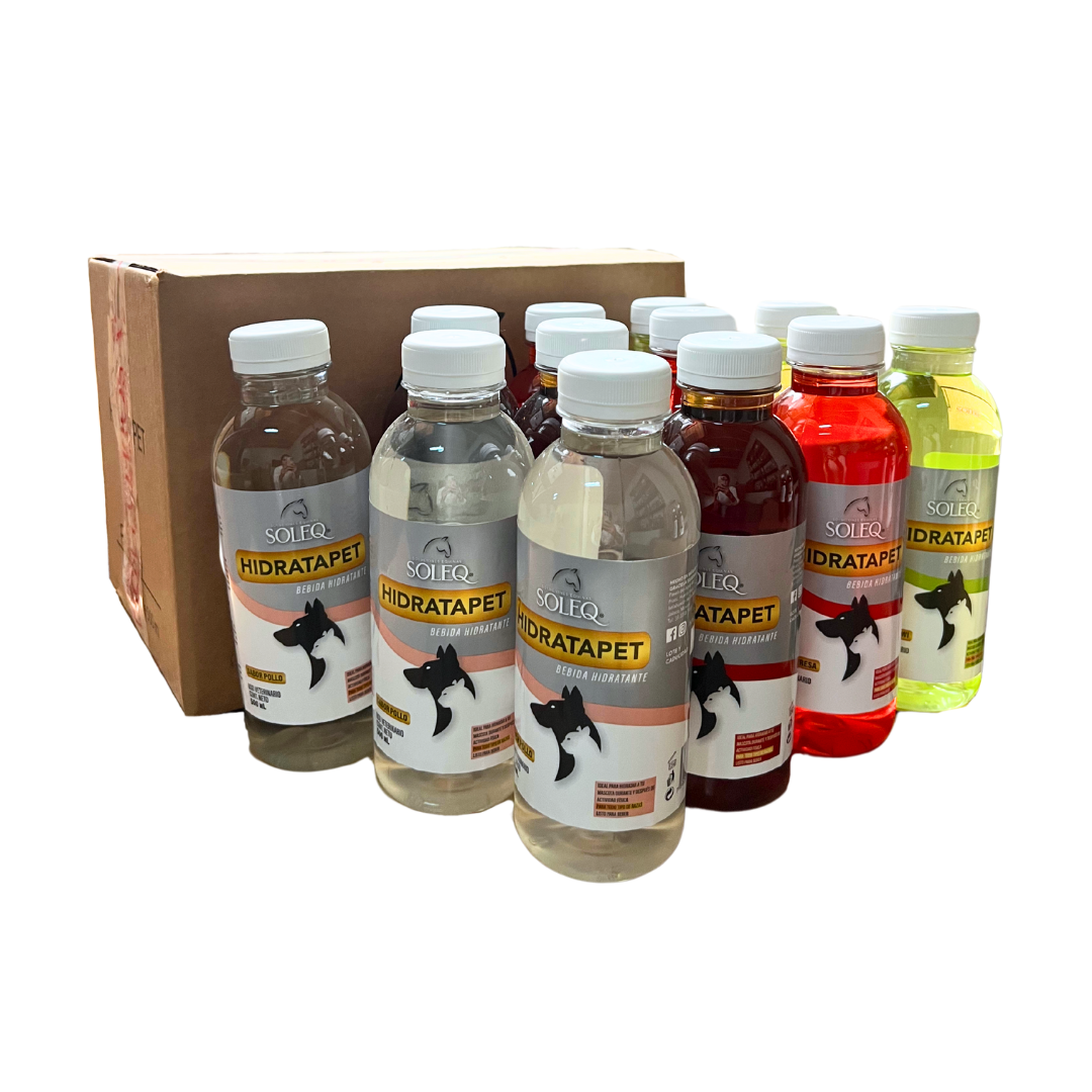 Caja con 12 HidrataPet varios sabores
